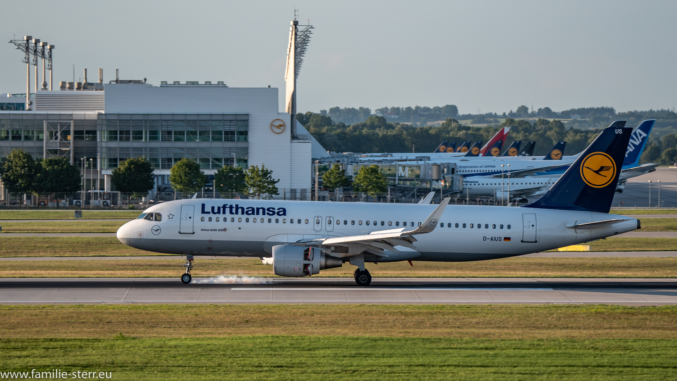 D-AIUS